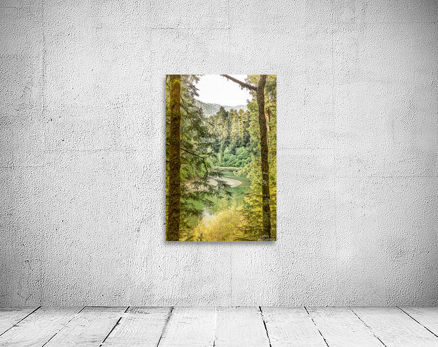 Eel River Wall Preview