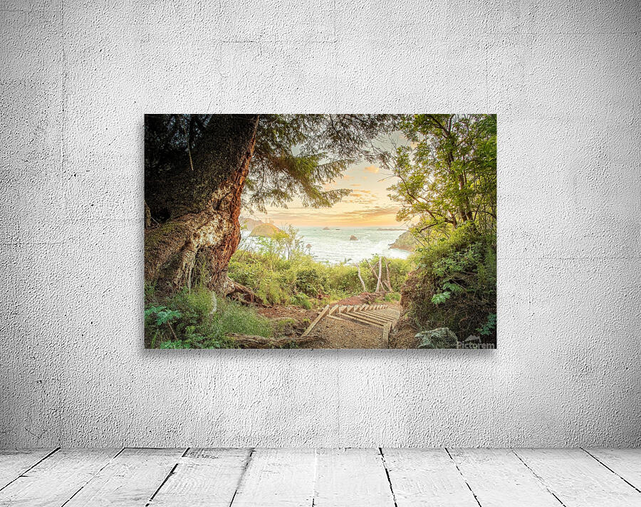Sunday Trail Walk Wall Preview