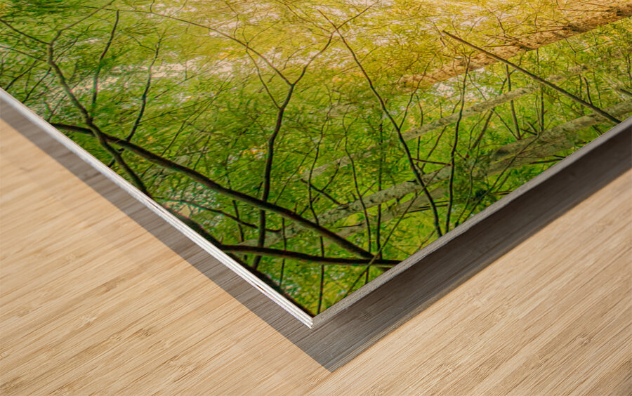 Crossing Over Wood print