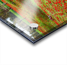 PIC12981 Acrylic print