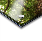 IMG 4279 Acrylic print