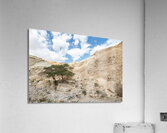 IMG 8189 Acrylic Print