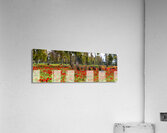 PIC13012 Panorama Acrylic Print