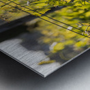 IMG 7686 Metal print