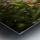 PIC17054 Metal print