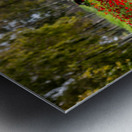 PIC13012 Panorama Metal print