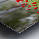 PIC12807 Metal print