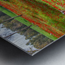 PIC12981 Metal print