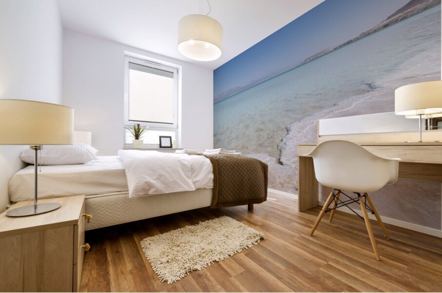 PIC19576 2 Mural print