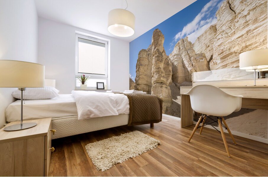 IMG 8112 Mural print