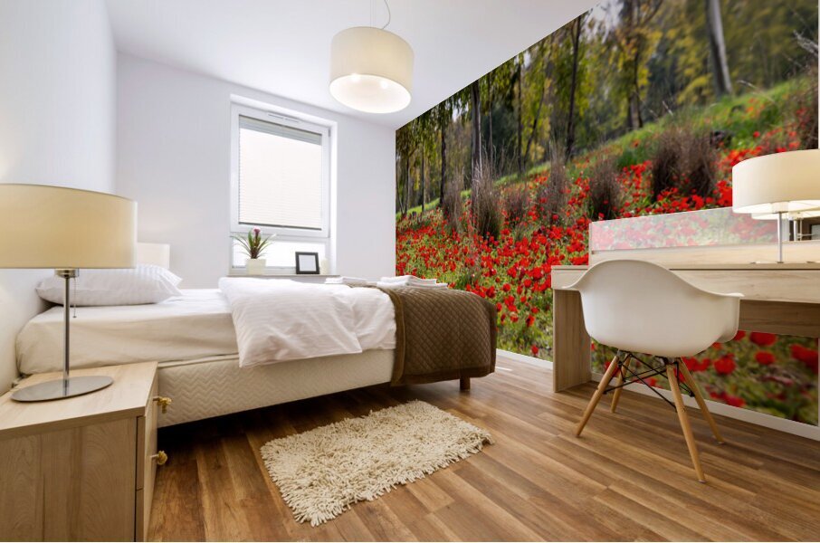 PIC13012 Panorama Mural print