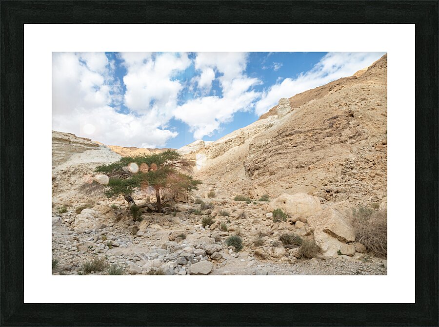 IMG 8189 Picture Frame print