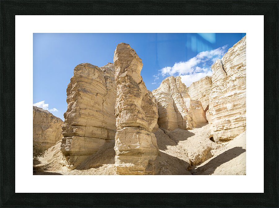 IMG 8112 Picture Frame print