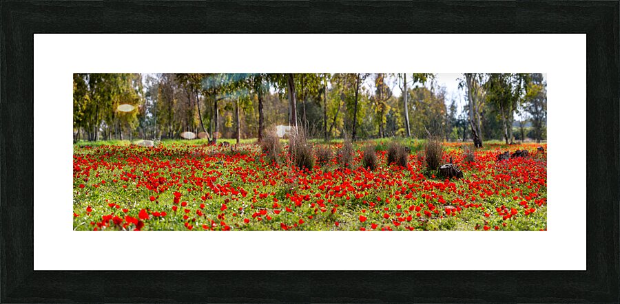 PIC13012 Panorama Picture Frame print