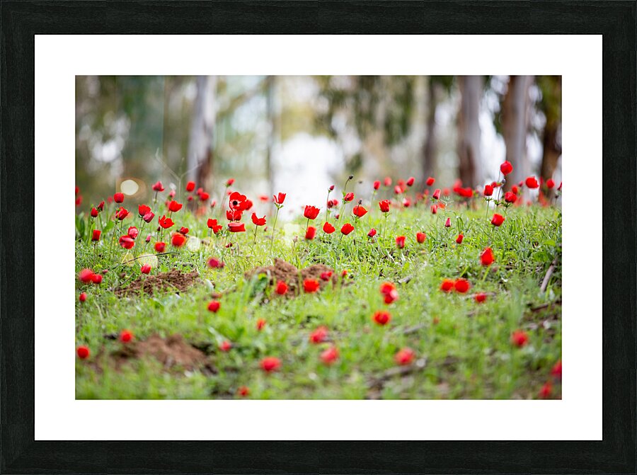 PIC12807 Picture Frame print