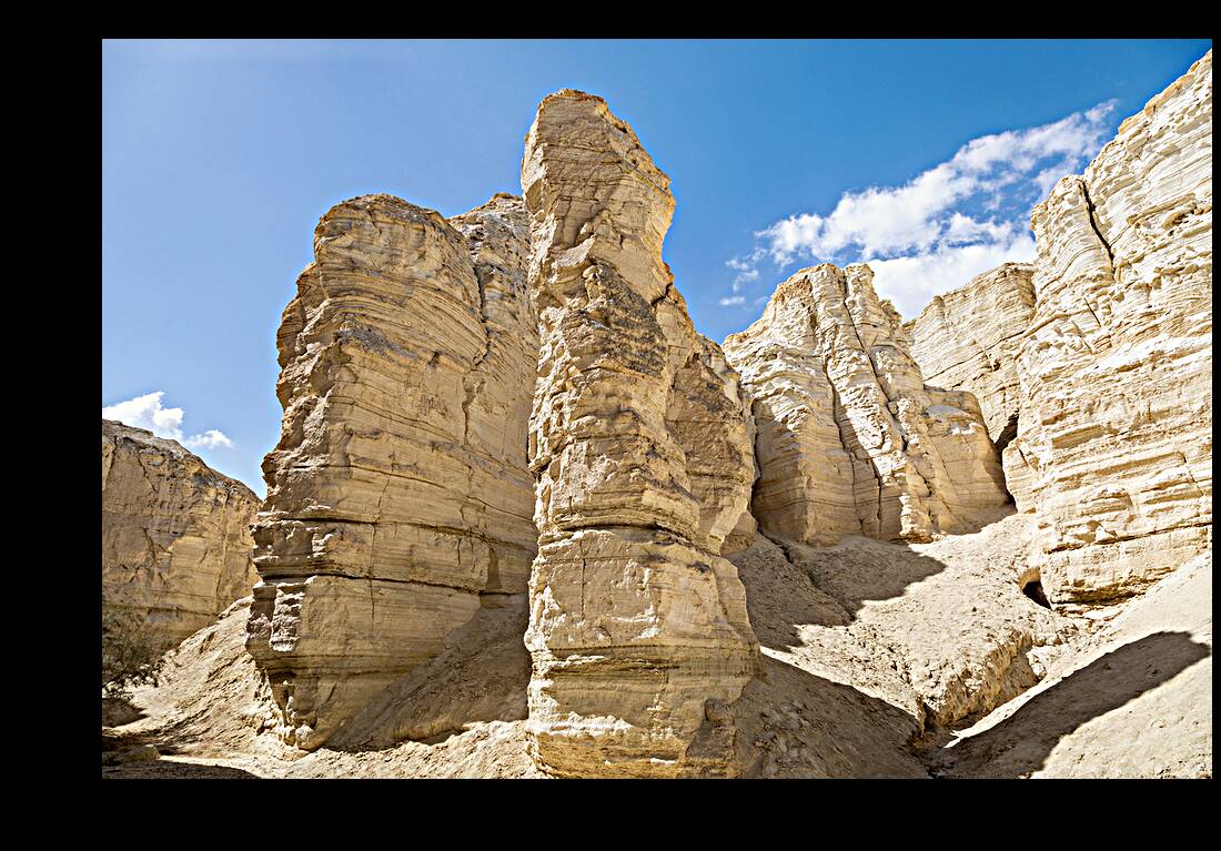 IMG 8112 Reproduction