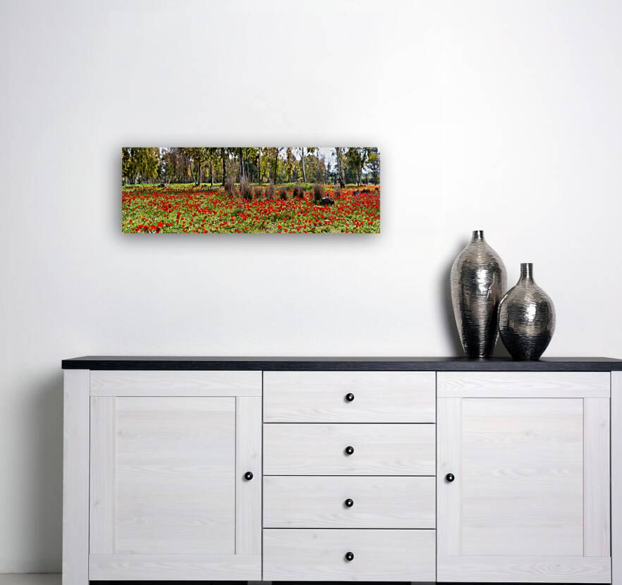 PIC13012 Panorama Reproduction