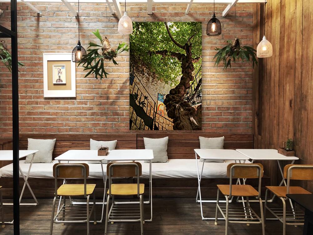 IMG 4279 Reproduction