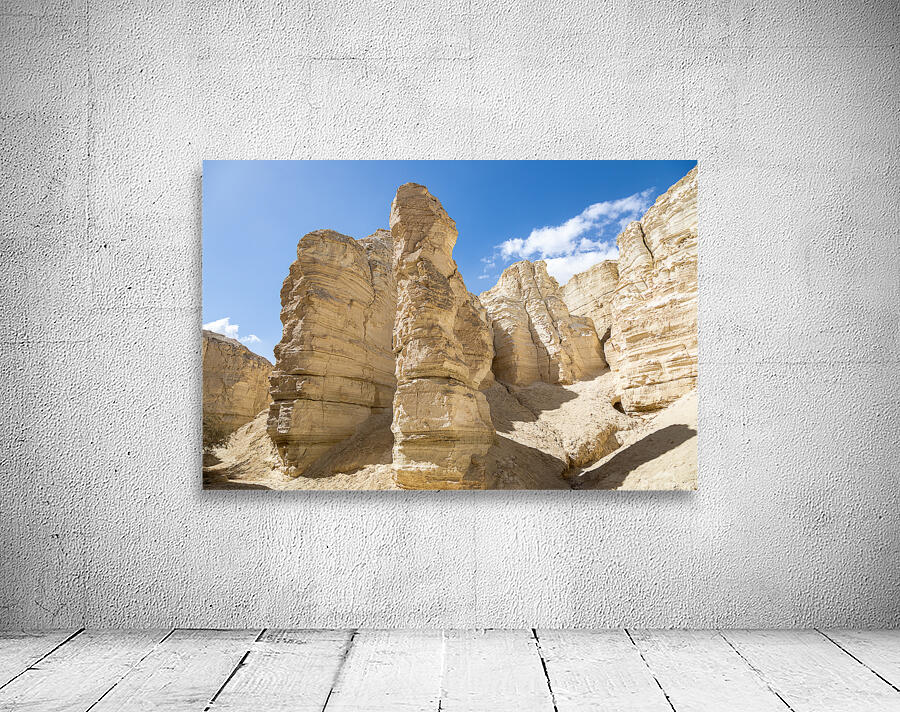 IMG 8112 Wall Preview