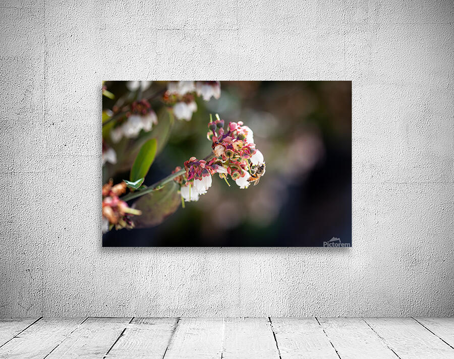 IMG 1002 Wall Preview