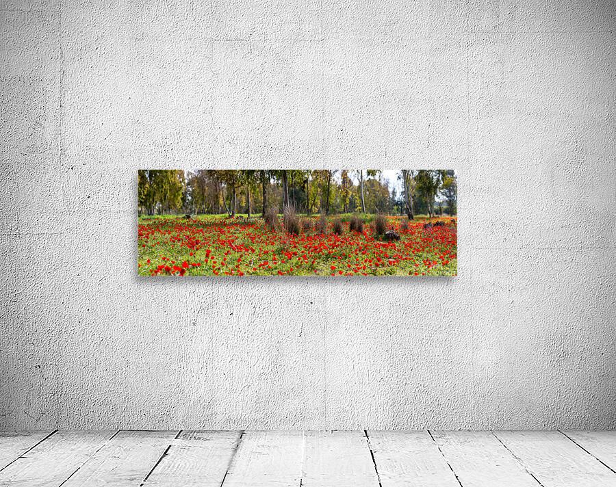 PIC13012 Panorama Wall Preview