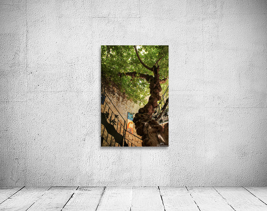 IMG 4279 Wall Preview