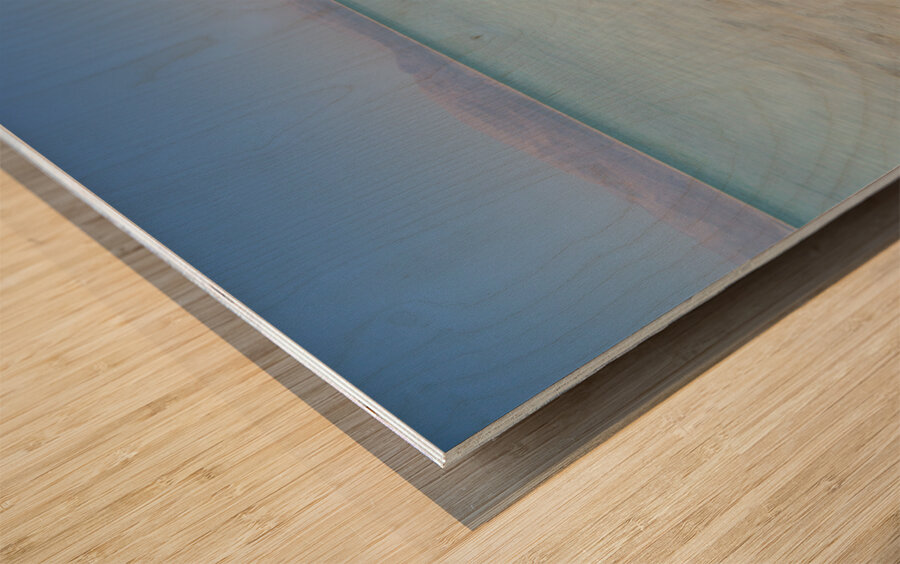 PIC19576 2 Wood print