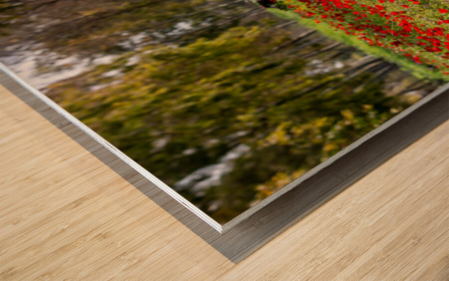 PIC13012 Panorama Wood print