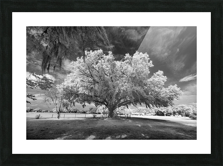 Gentle breeze Picture Frame print