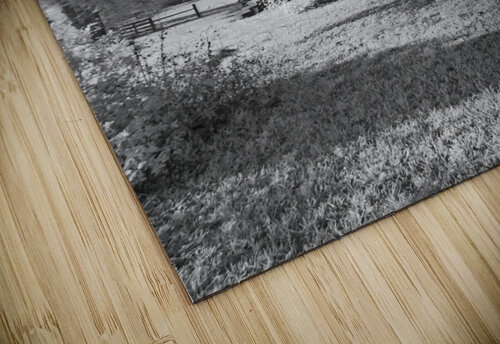 Cracker Cabin Vertical  Bob Barbour puzzle