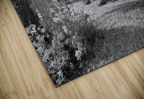 Cracker Cabin Bob Barbour puzzle