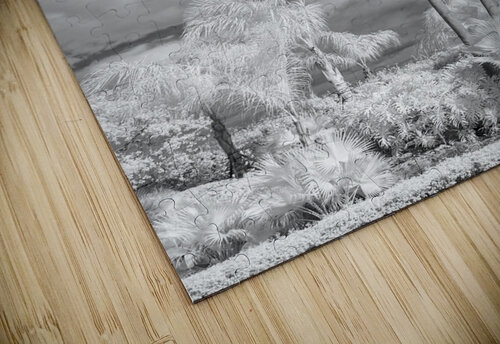 Tall Palms Bob Barbour puzzle