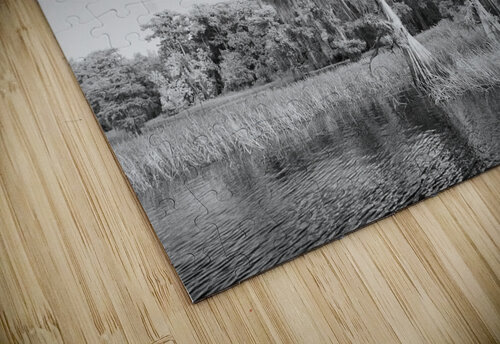 Blue cypress trees horizontal Bob Barbour puzzle
