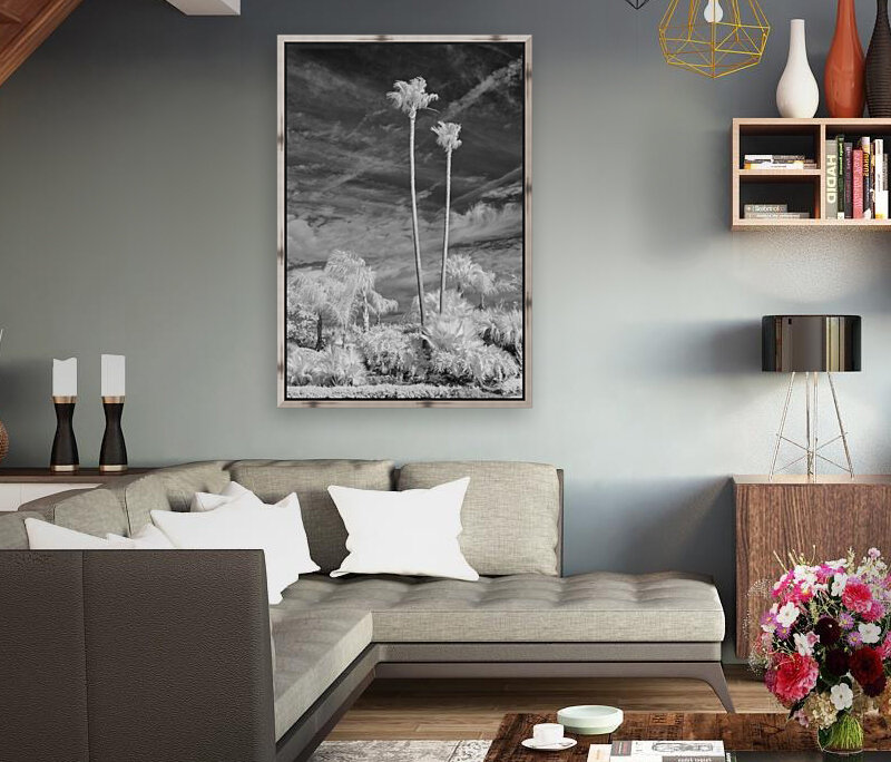 Tall Palms Reproduction