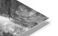 Cracker Cabin HD Metal print