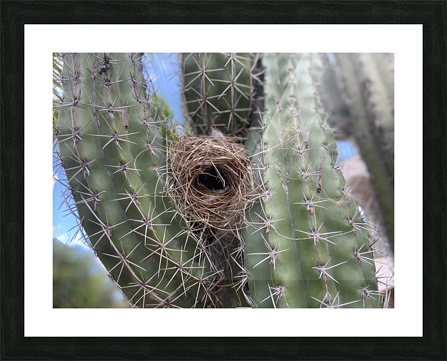 Refuge Picture Frame Printing