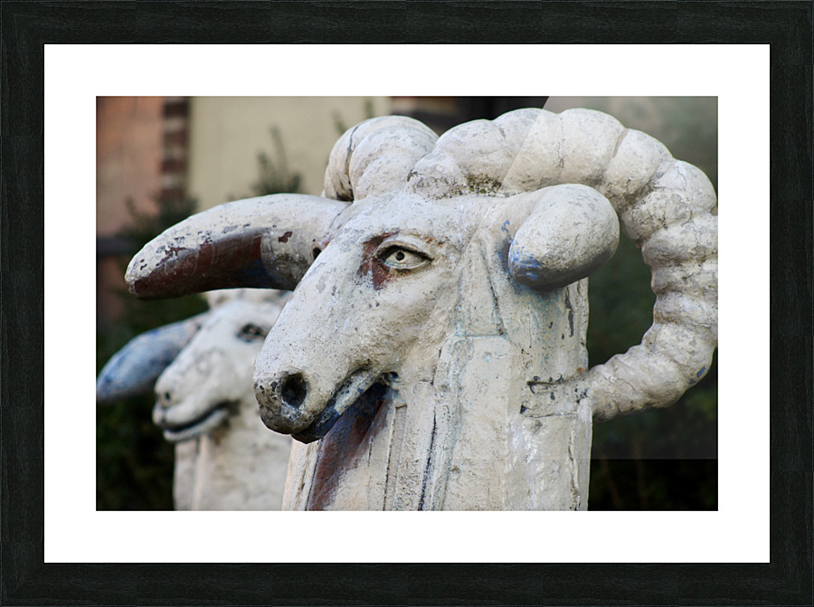  Brooklyn Rams Picture Frame Printing