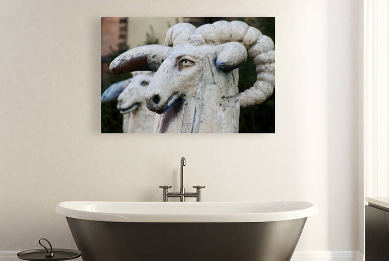  Brooklyn Rams by Cheryle Walker Hemingway