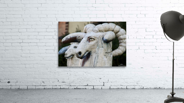  Brooklyn Rams Wall Preview