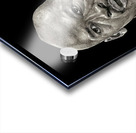 Michael Jordan 23 GOAT Acrylic print