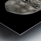 Michael Jordan 23 GOAT Metal print