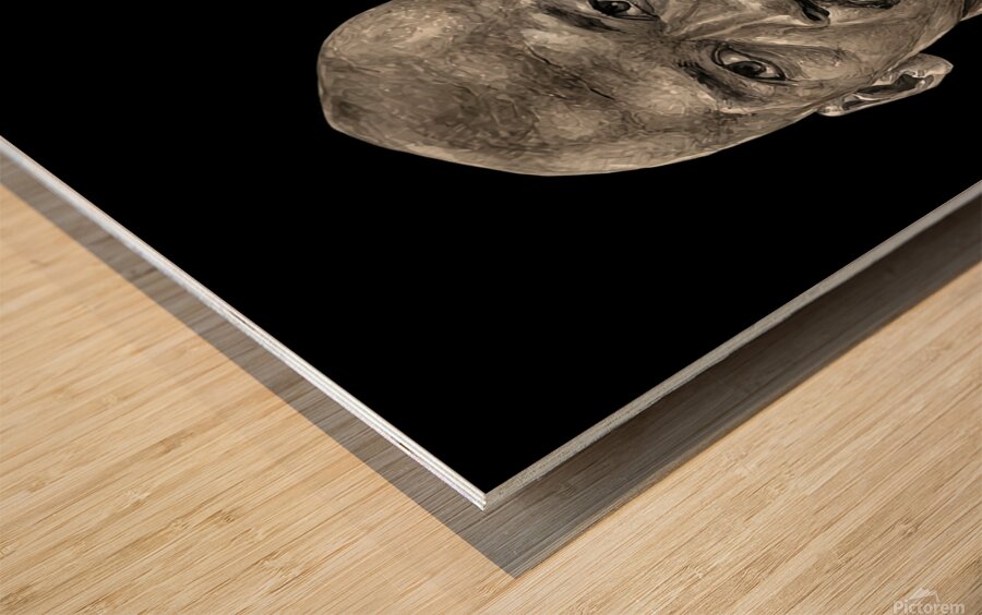 Michael Jordan 23 GOAT Wood print