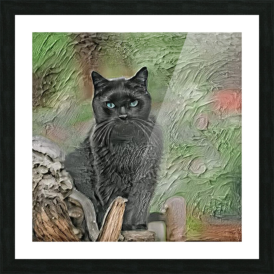 Black Cat  Picture Frame print
