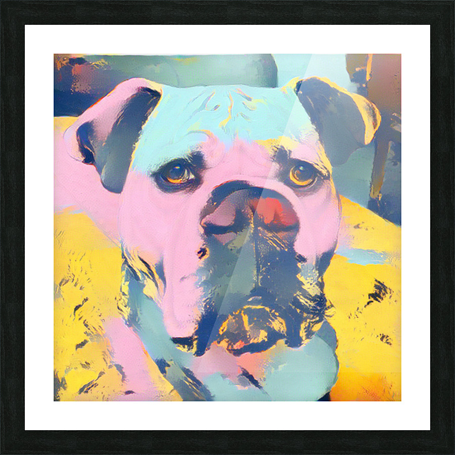 The Bulldog Picture Frame print