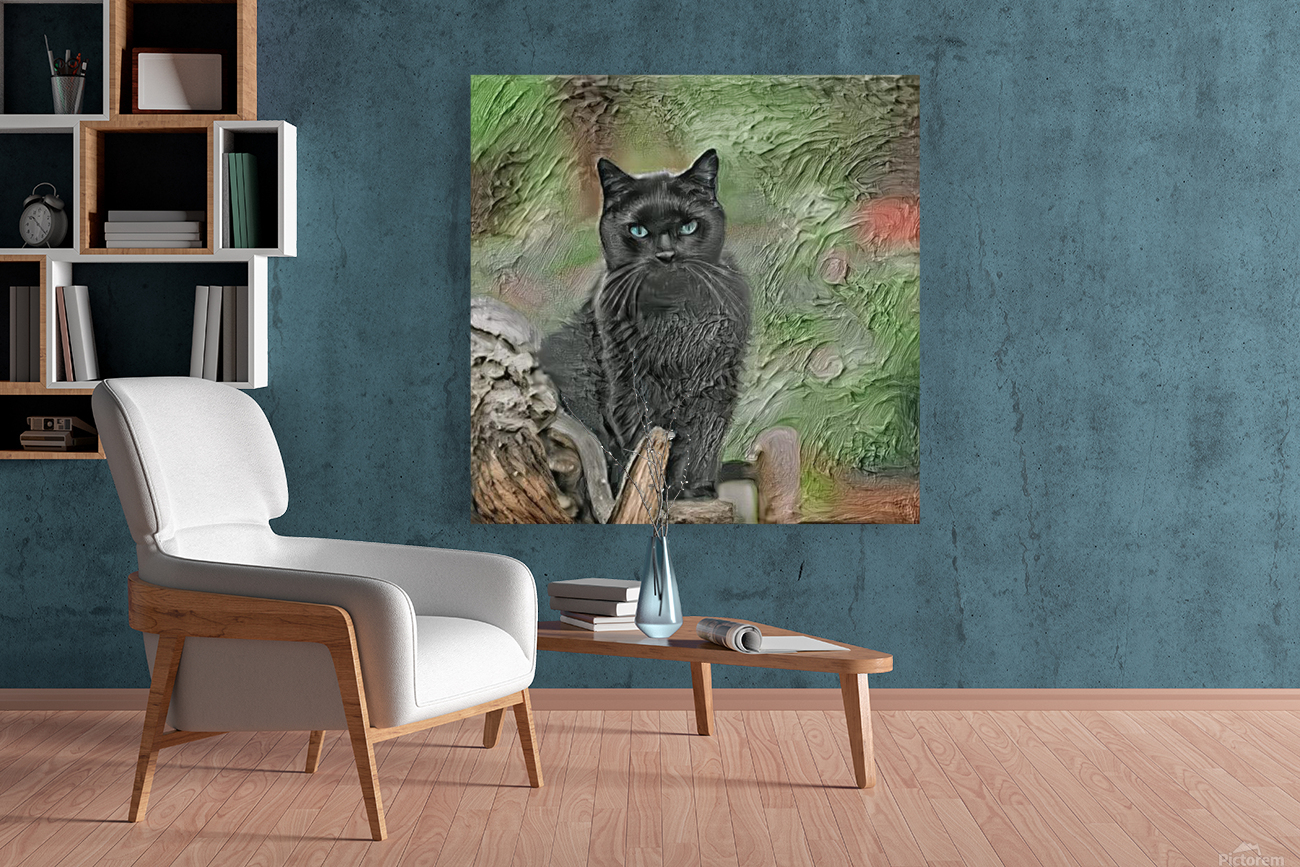 Black Cat  Reproduction
