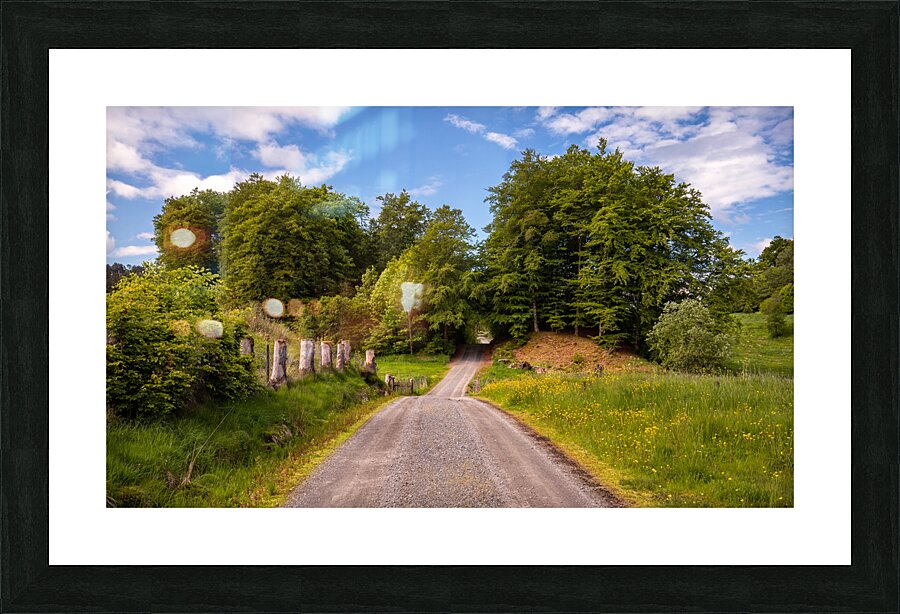 Lush Summer Landscape Picture Frame print