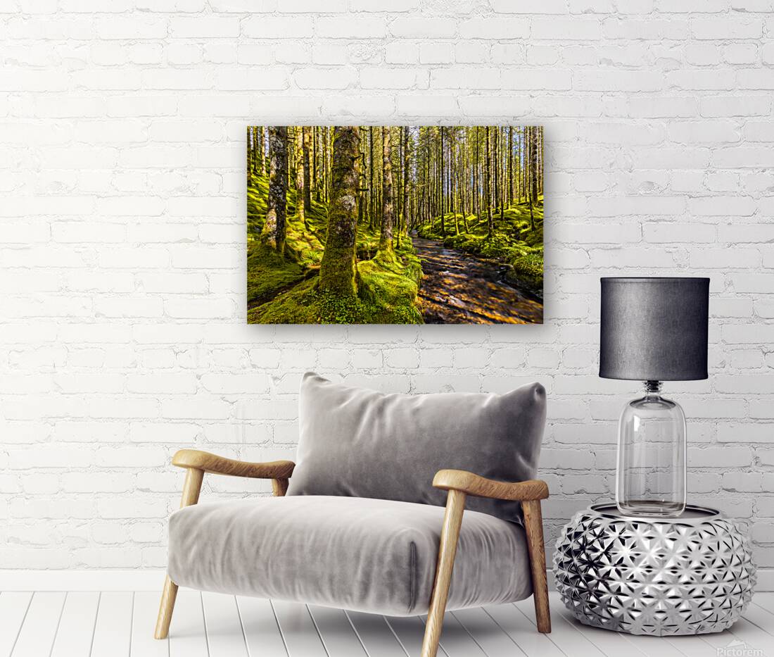 A River In a Forest Reproduction