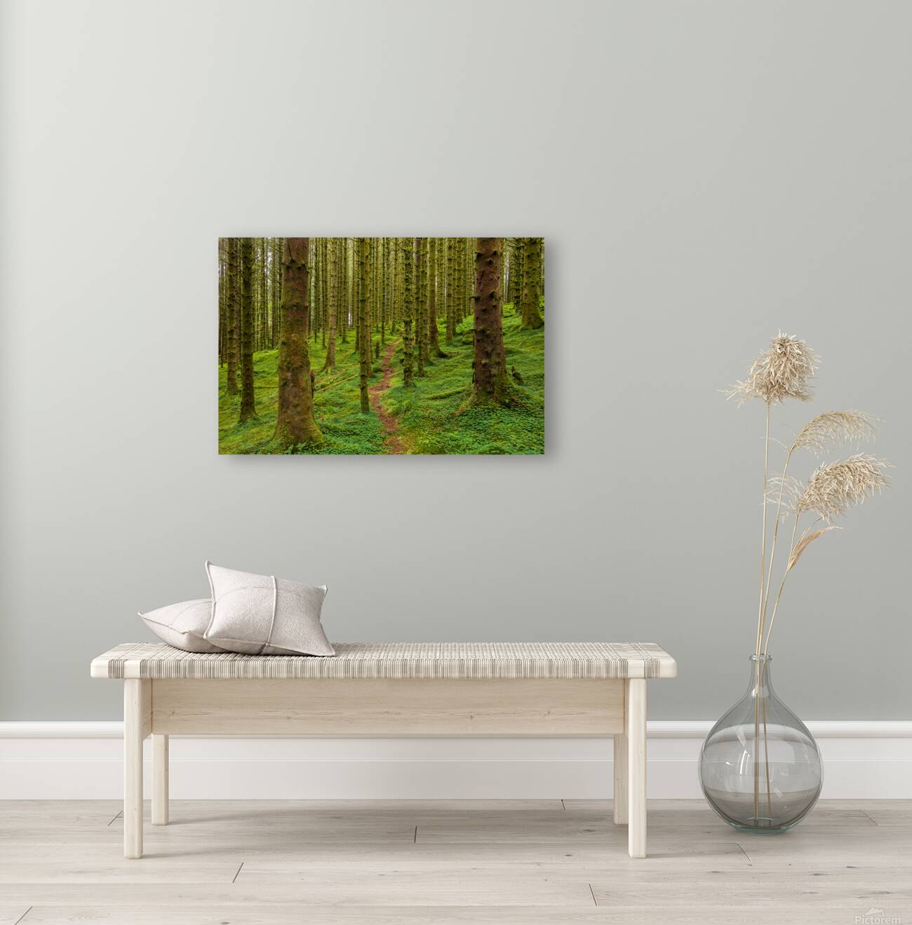 Trail in The Forest Reproduction