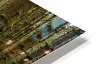 The Forest Trail HD Metal print
