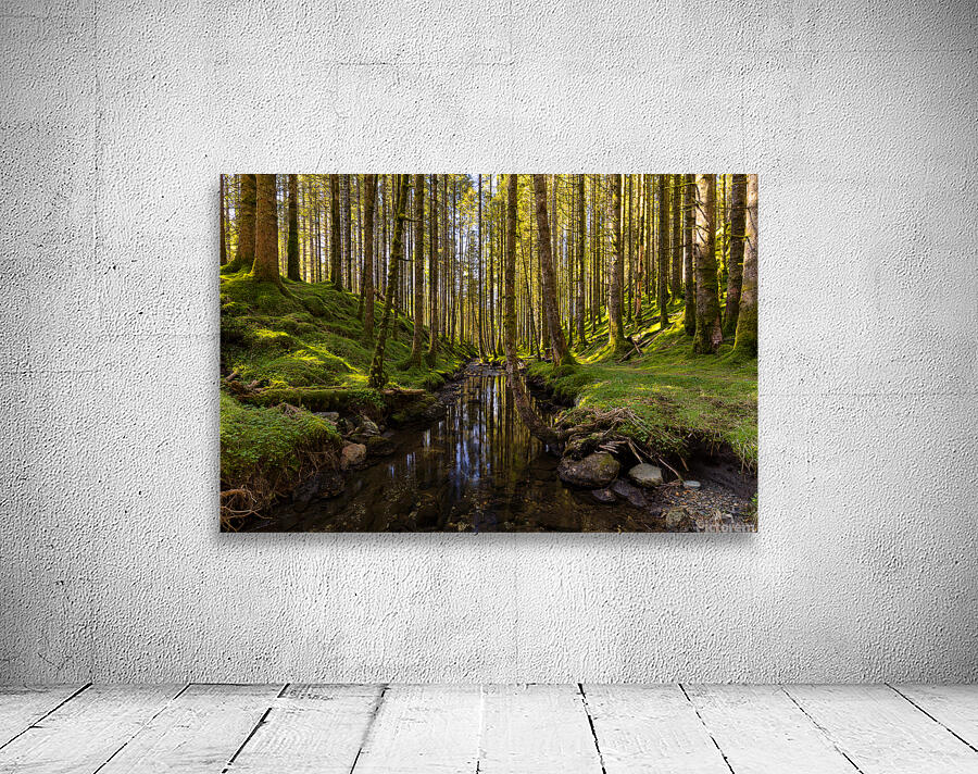 The Forest River Wall Preview